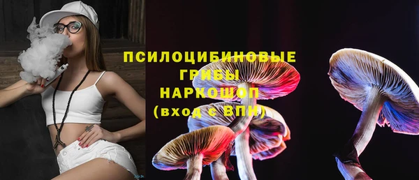 таблы Гусев