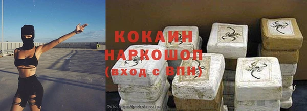 таблы Гусев