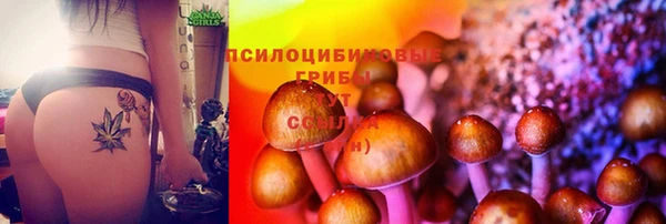 мет Гусиноозёрск