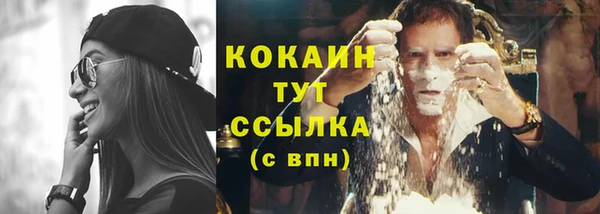 таблы Гусев