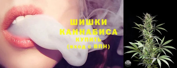 таблы Гусев