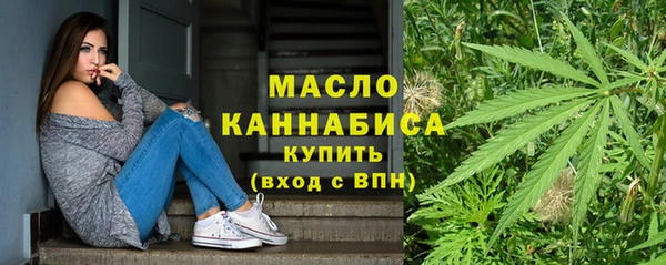 таблы Гусев
