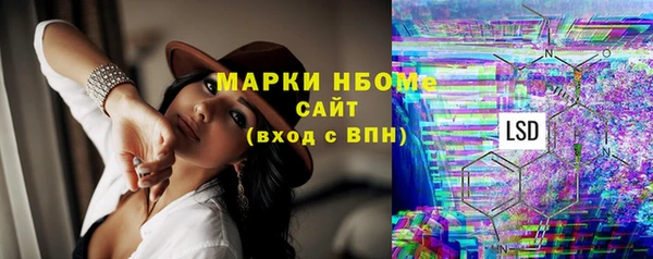 таблы Гусев