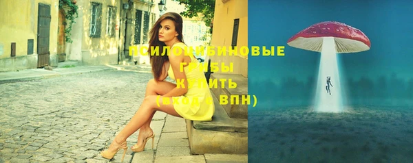 мет Гусиноозёрск
